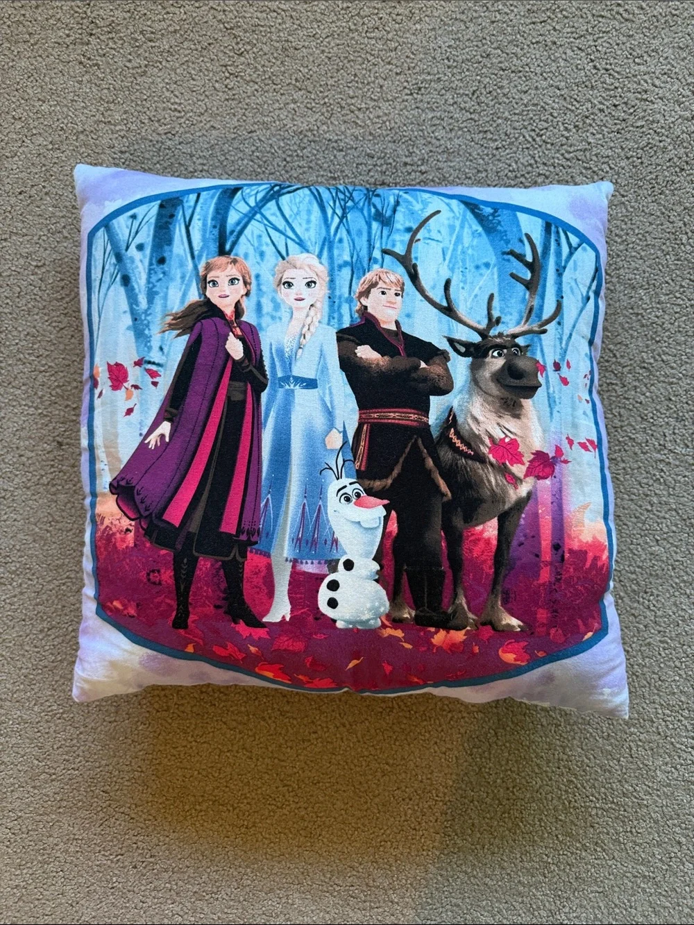 Disney Frozen II Character Throw Pillow - Multicolor